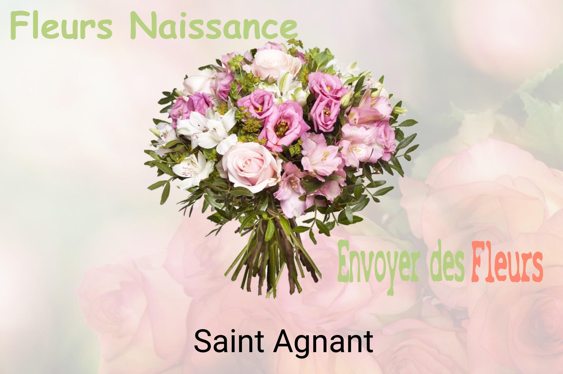 Bouquet de fleurs de naissance livré à Saint-Agnant